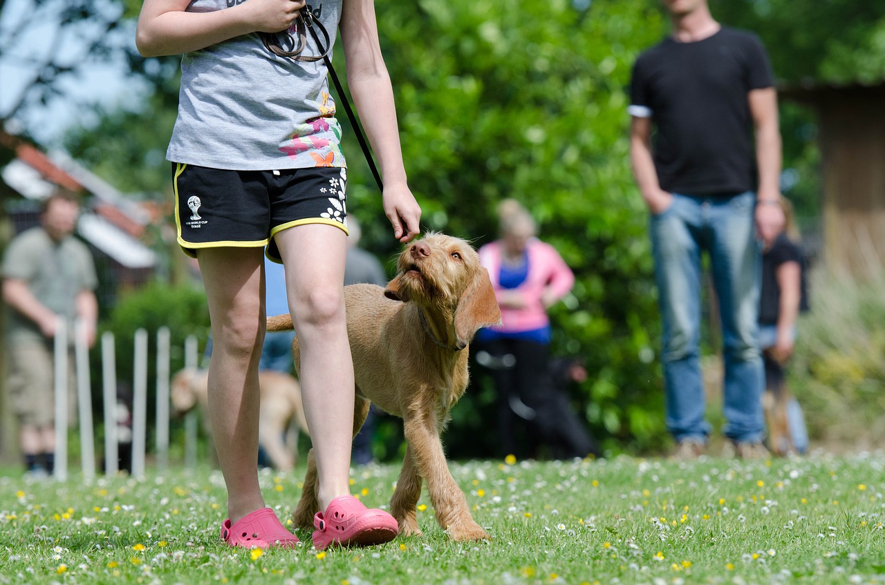 scentsible dog training